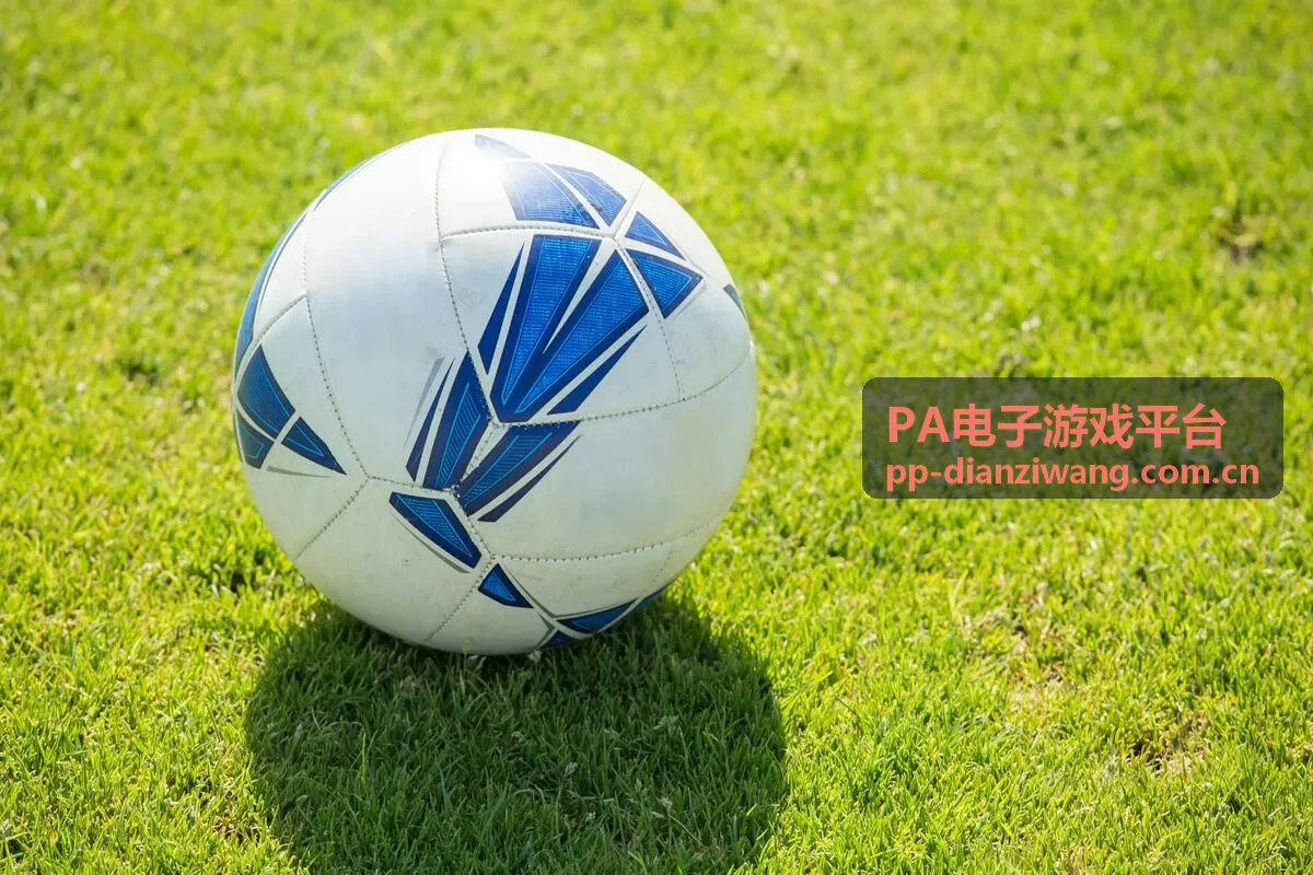 PA电子游戏平台体验亮点封面